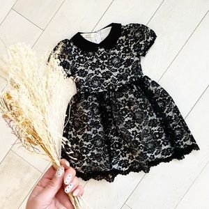 🚫sold🚫Numi black lace Peter pan collar